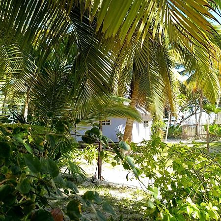 Chez Gigi - Eco Lodge Mahahual Exterior foto
