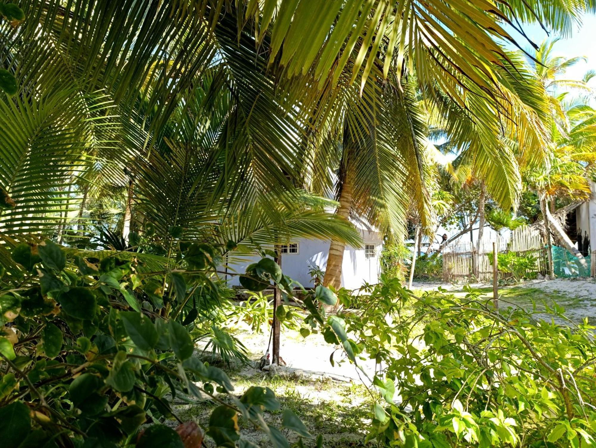Chez Gigi - Eco Lodge Mahahual Exterior foto