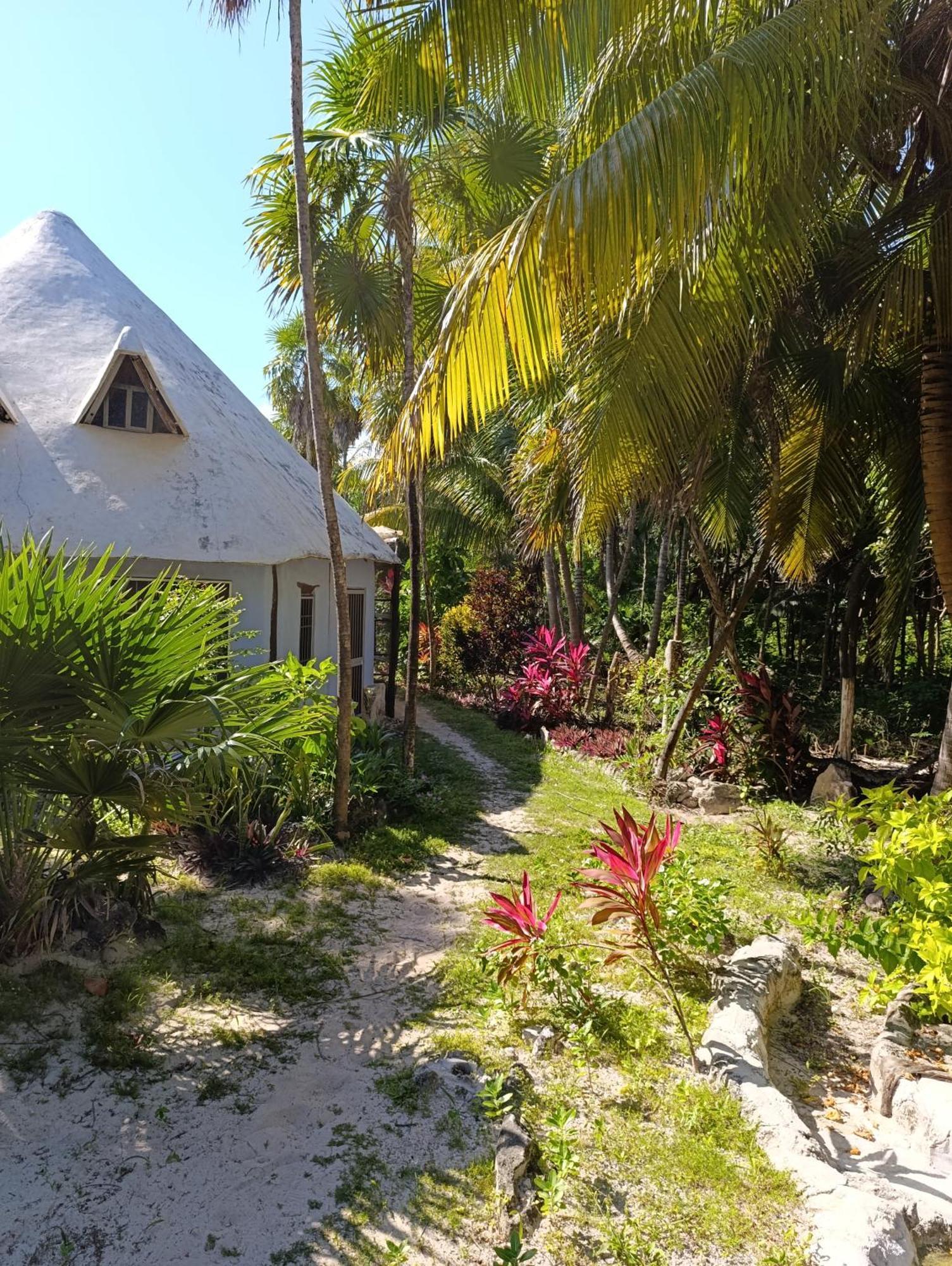 Chez Gigi - Eco Lodge Mahahual Exterior foto