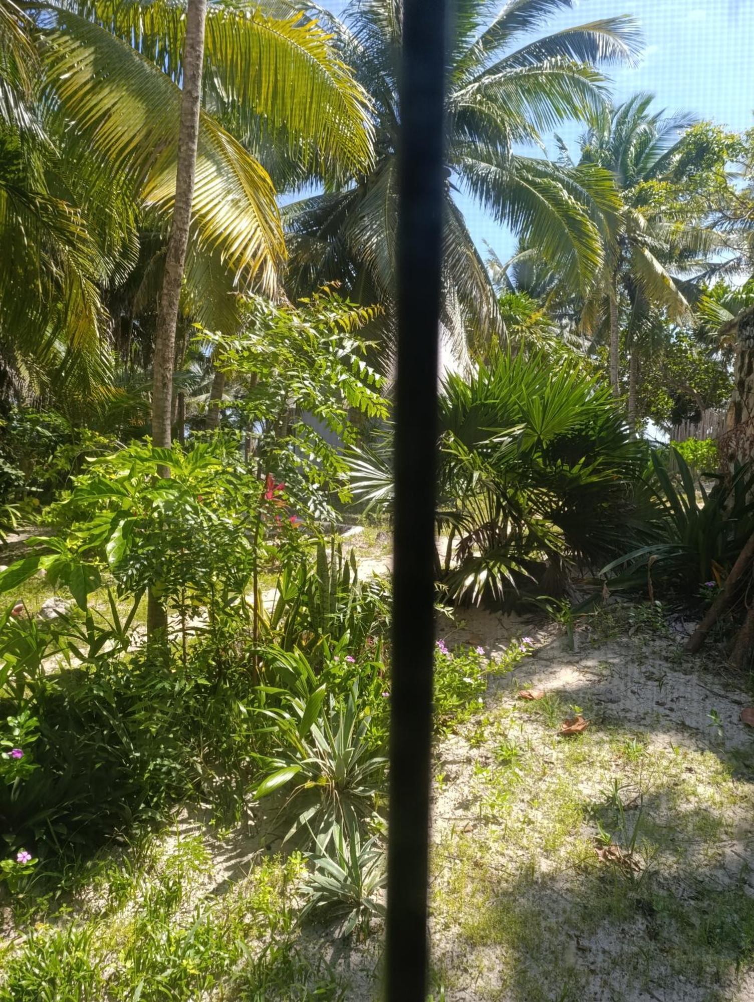 Chez Gigi - Eco Lodge Mahahual Exterior foto
