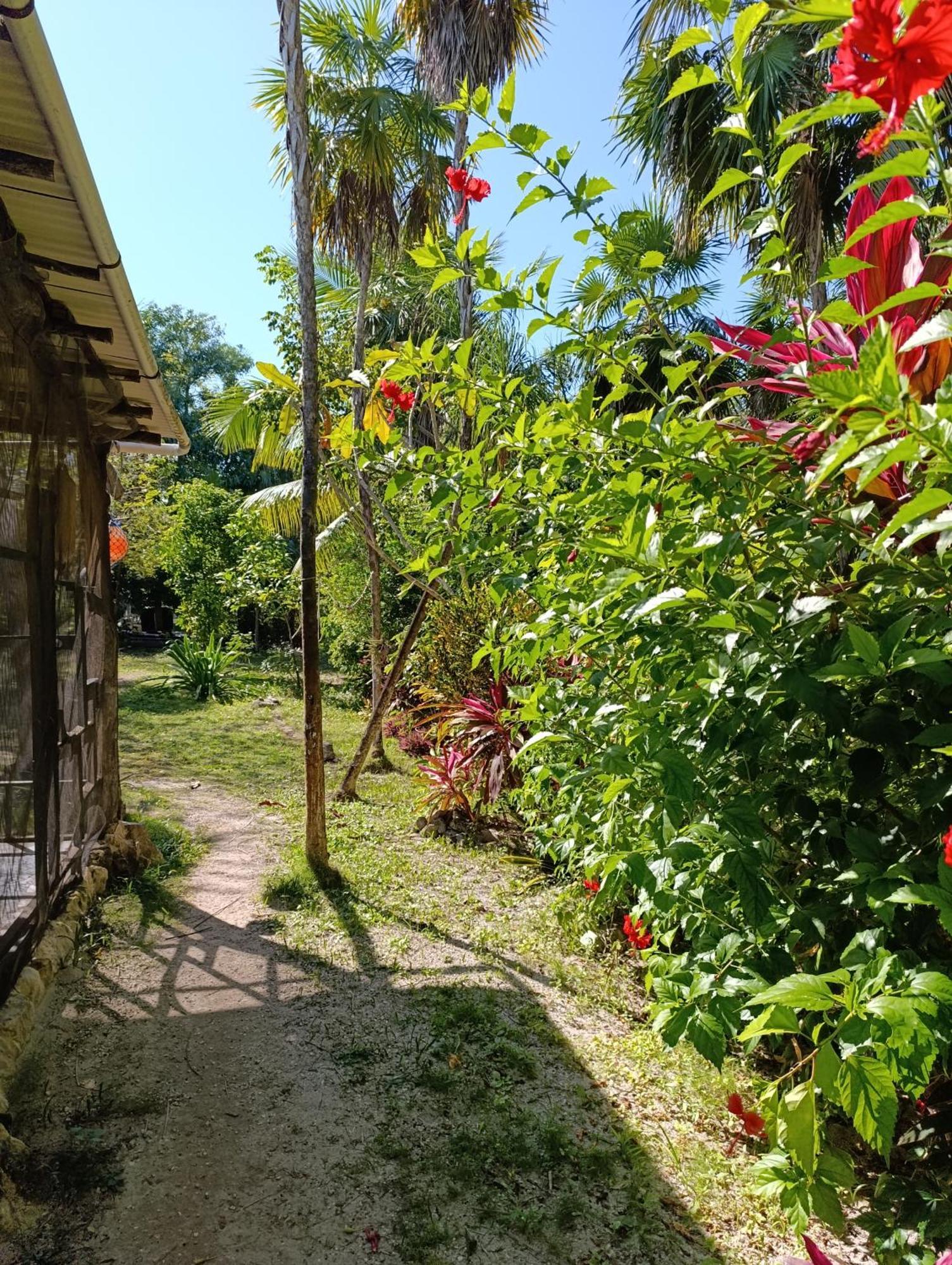 Chez Gigi - Eco Lodge Mahahual Exterior foto